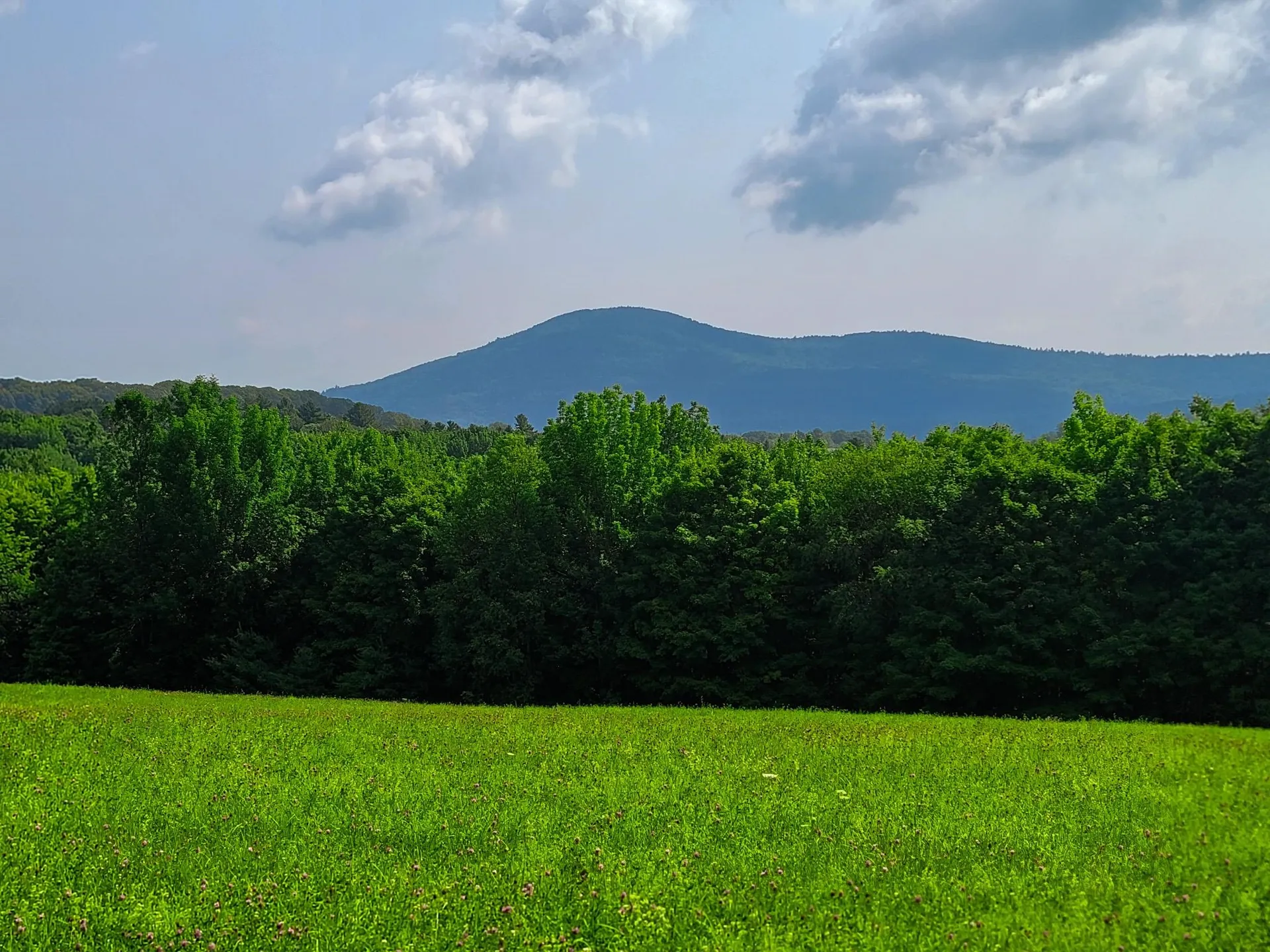 173 Foley Hill Road Ryegate VT 05042