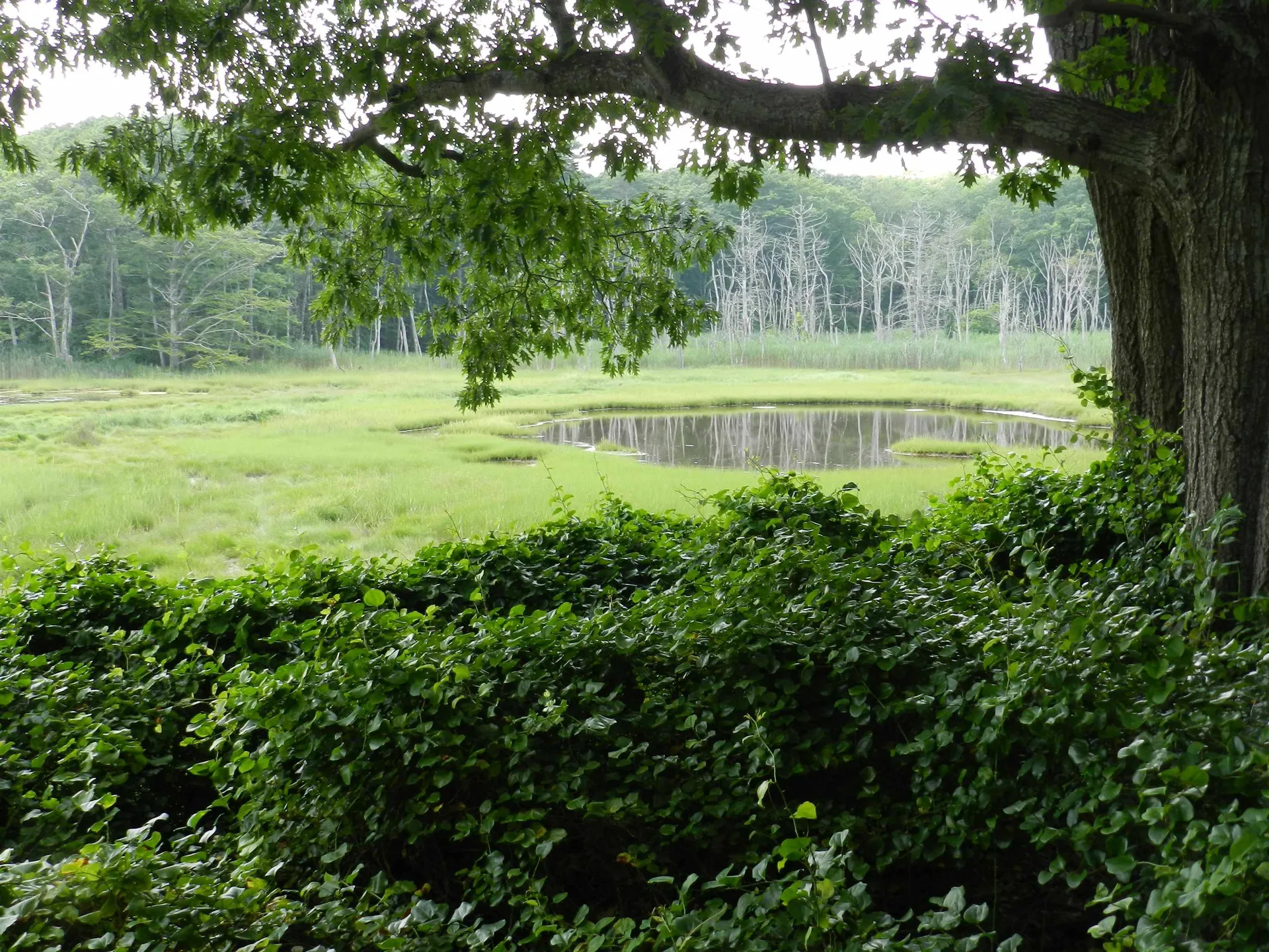 222-224 Parsons Road Rye NH 03870