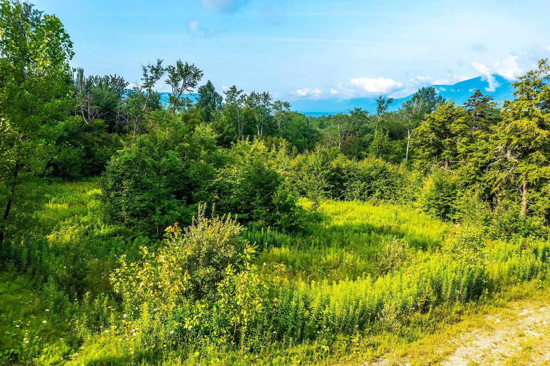 Lot 3 Route 11/30 Winhall VT 05340