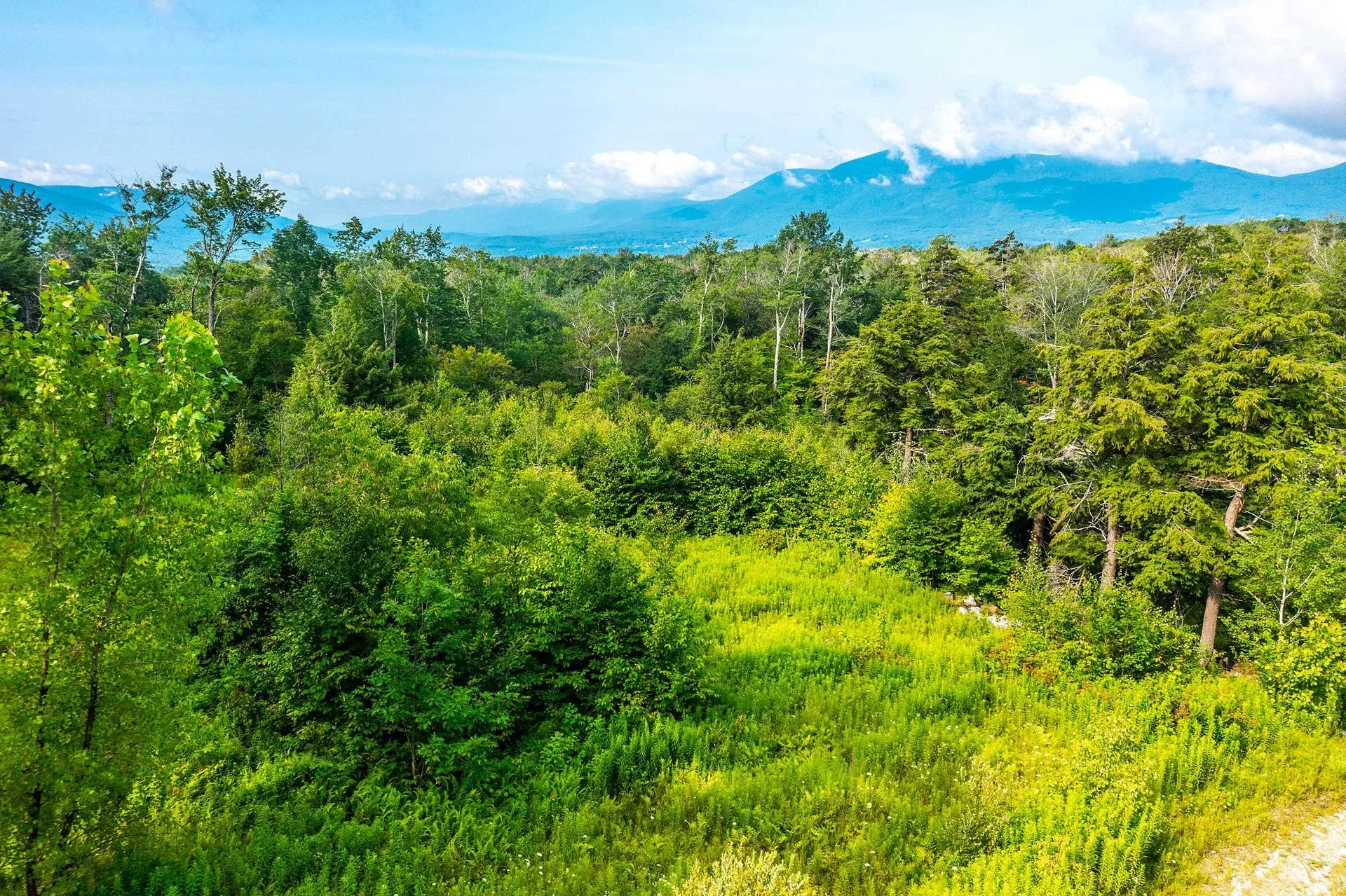 Lot 3 Route 11/30 Winhall VT 05340