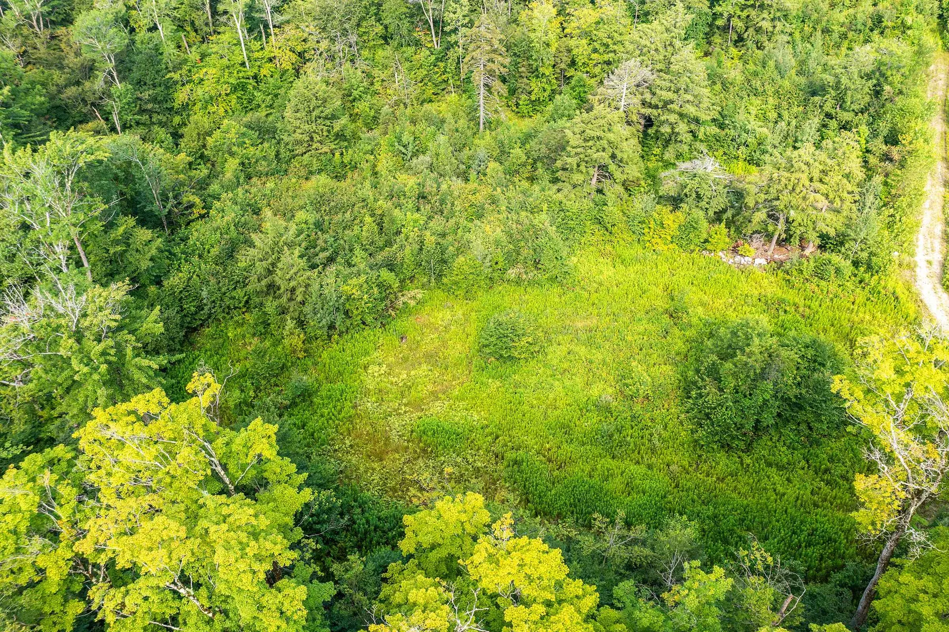 Lot 3 Route 11/30 Winhall VT 05340