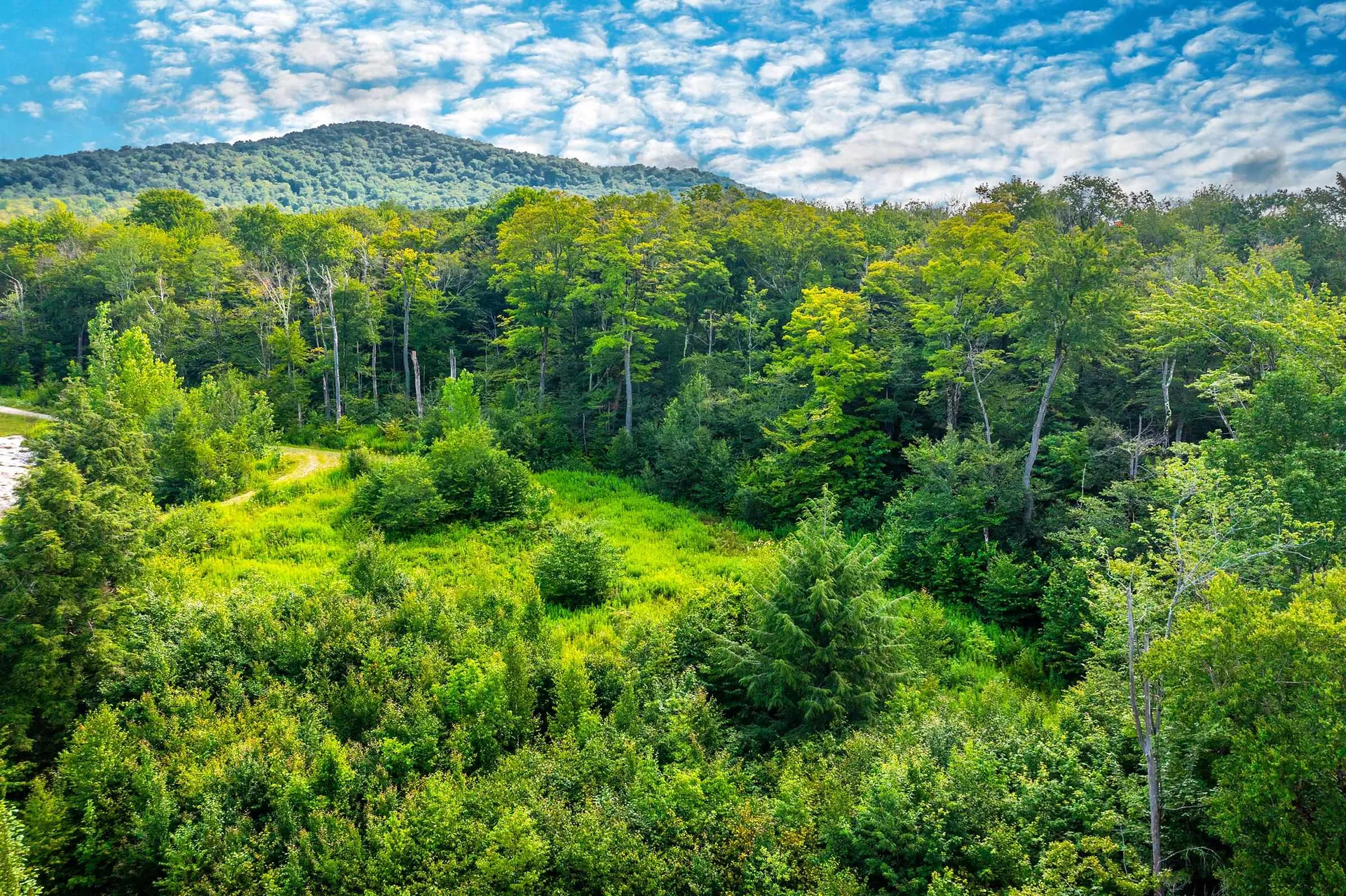 Lot 3 Route 11/30 Winhall VT 05340