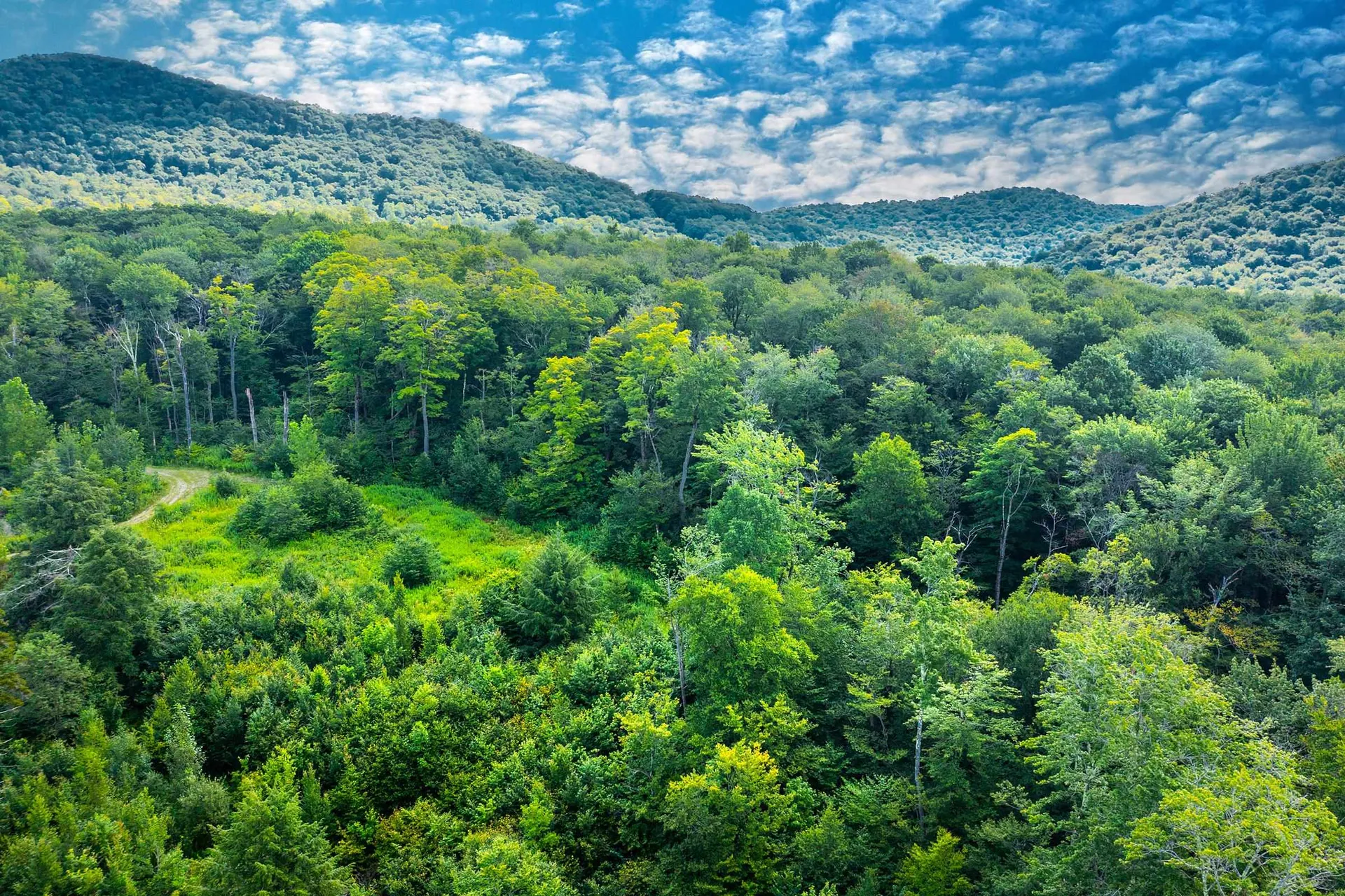 Lot 3 Route 11/30 Winhall VT 05340