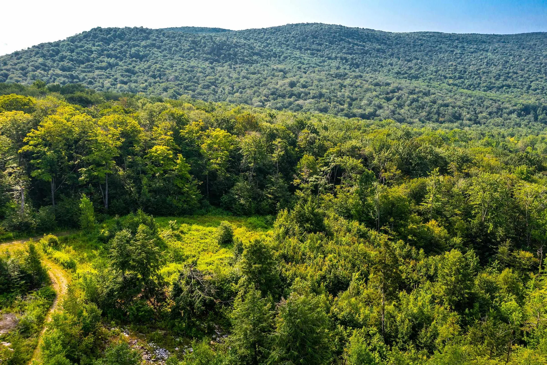 Lot 3 Route 11/30 Winhall VT 05340