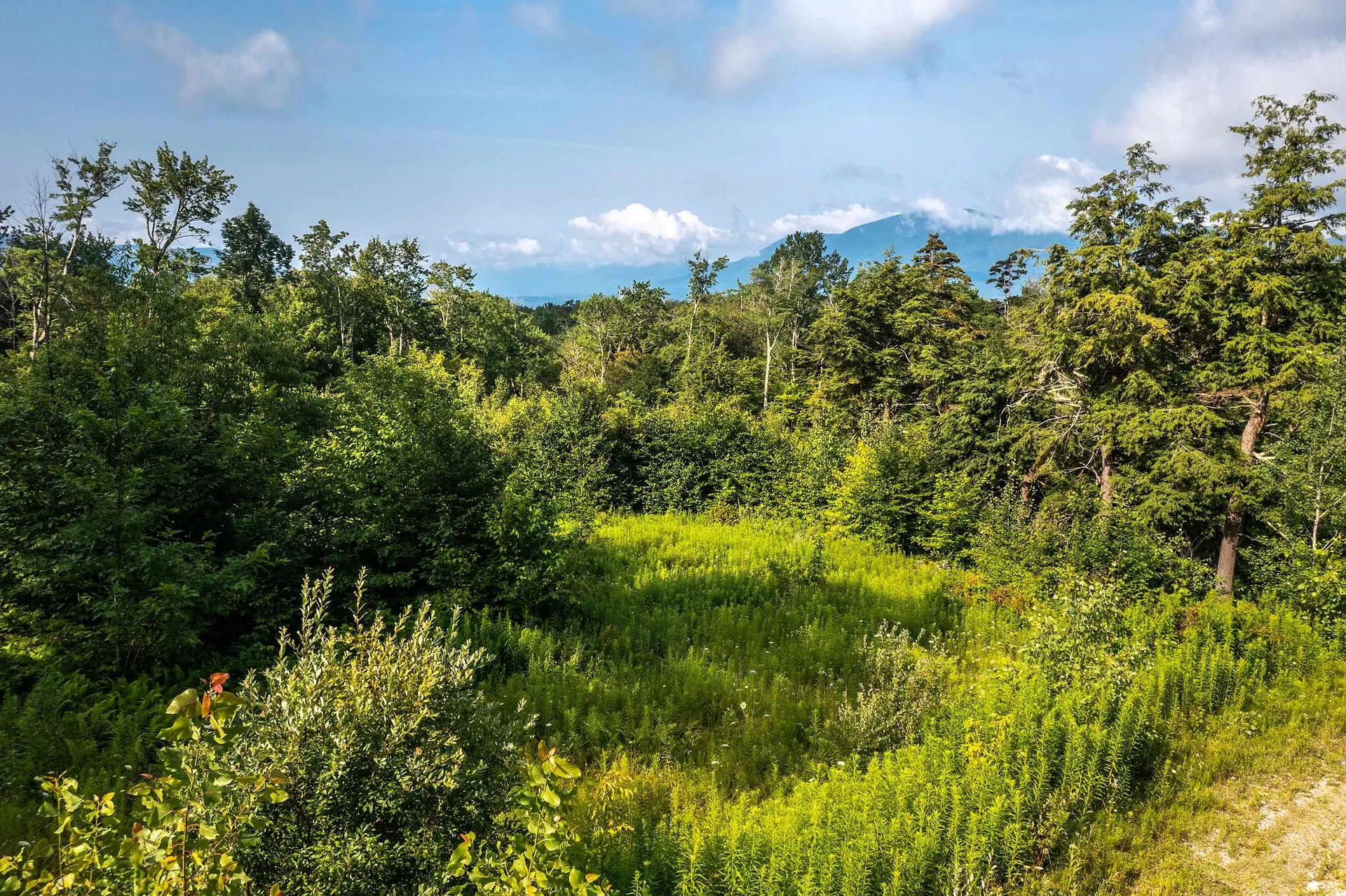 Lot 3 Route 11/30 Winhall VT 05340