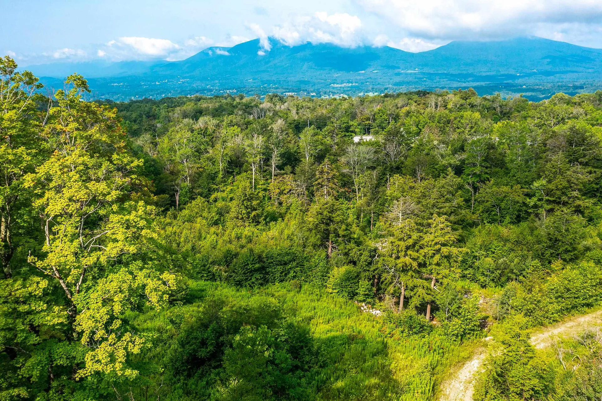 Lot 3 Route 11/30 Winhall VT 05340