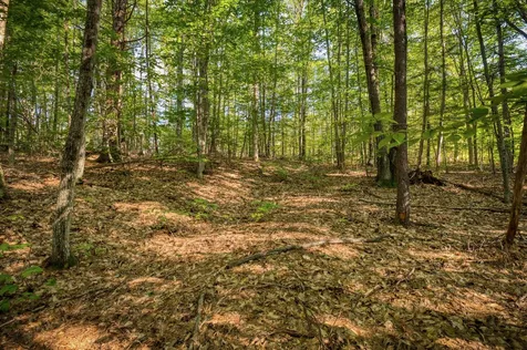 0 Wyman Avenue Conway NH 03860