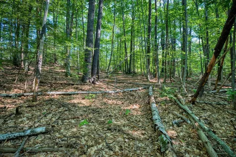 0 Wyman Avenue Conway NH 03860