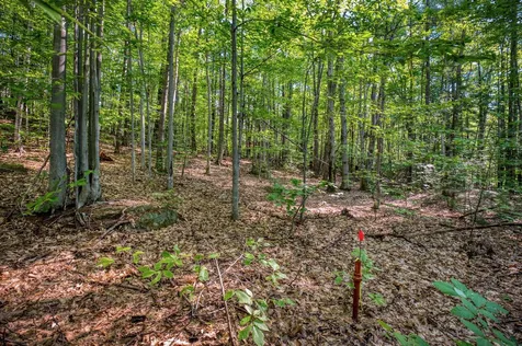 0 Wyman Avenue Conway NH 03860