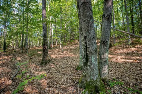 0 Wyman Avenue Conway NH 03860