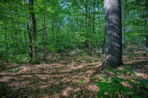 0 Wyman Avenue Conway NH 03860