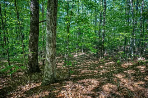 0 Wyman Avenue Conway NH 03860