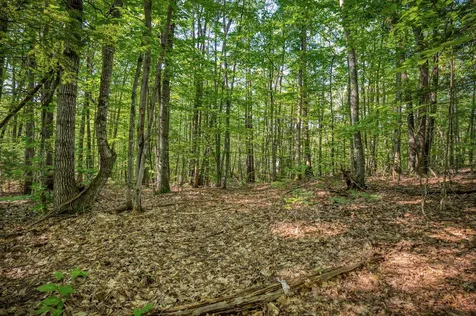 0 Wyman Avenue Conway NH 03860