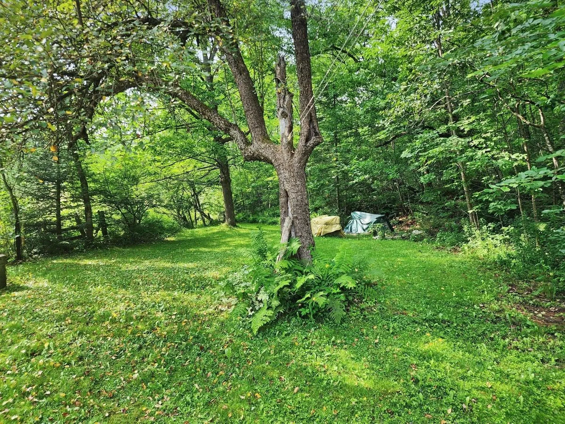 816 Tucker Mountain Road Newbury VT 05051