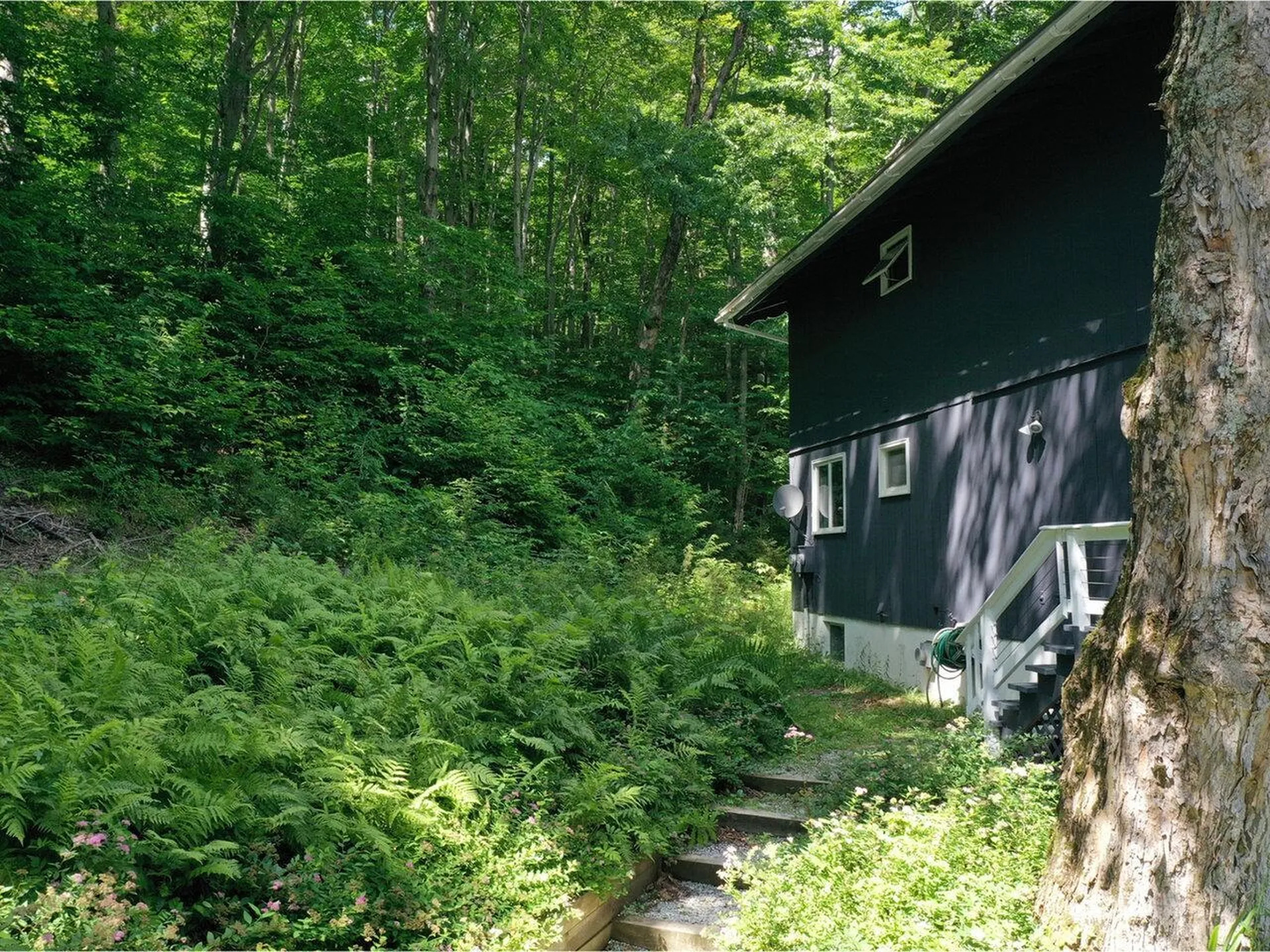 1019 Highland Drive Montgomery VT 05471