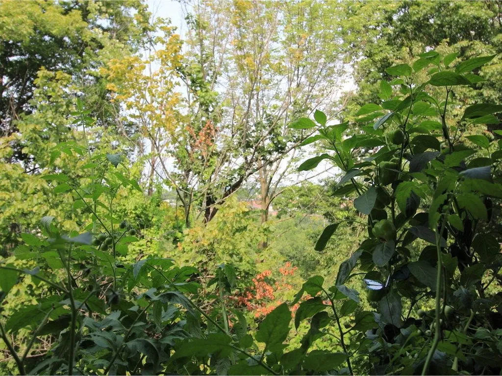 171 Hildred Drive Burlington VT 05401