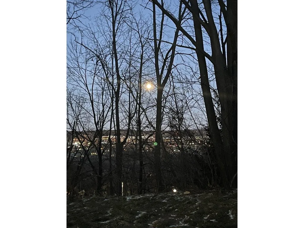 171 Hildred Drive Burlington VT 05401