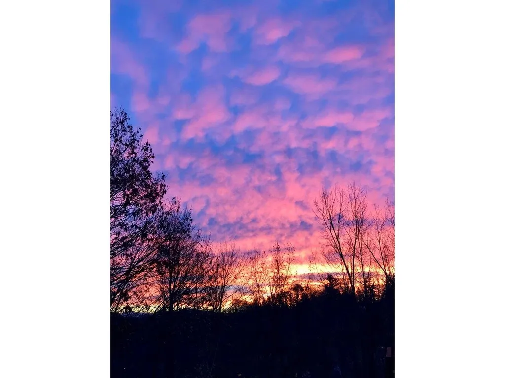 171 Hildred Drive Burlington VT 05401