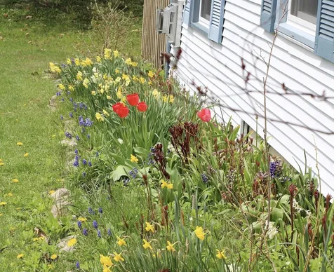 85 Lyman Meadow Road Hinesburg VT 05461