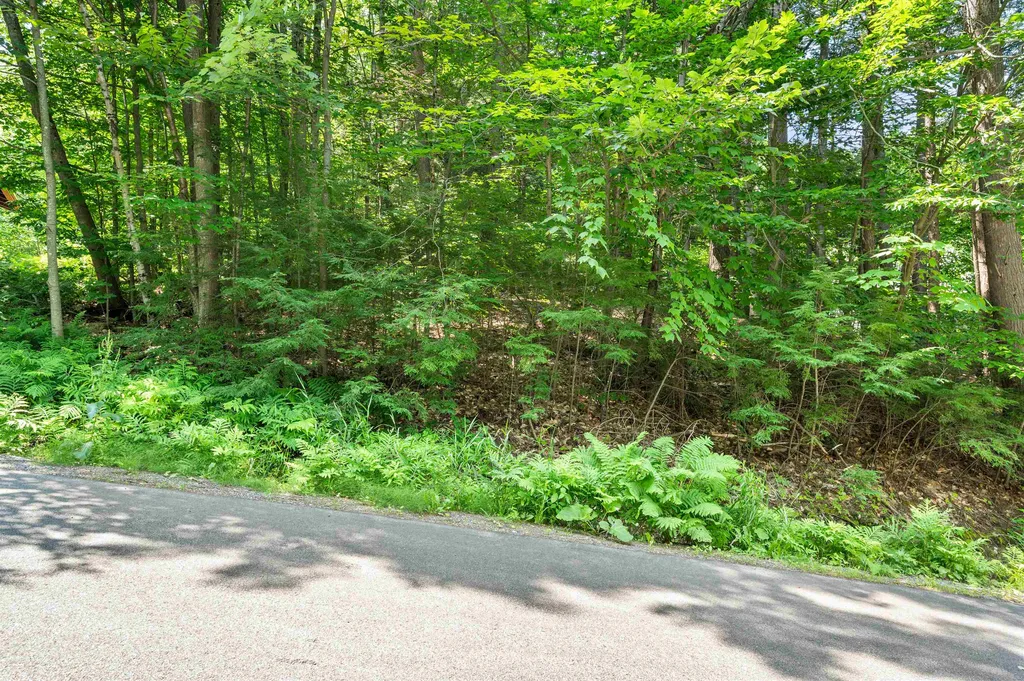 34 Leisure Drive Gilford NH 03249