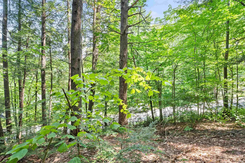 34 Leisure Drive Gilford NH 03249