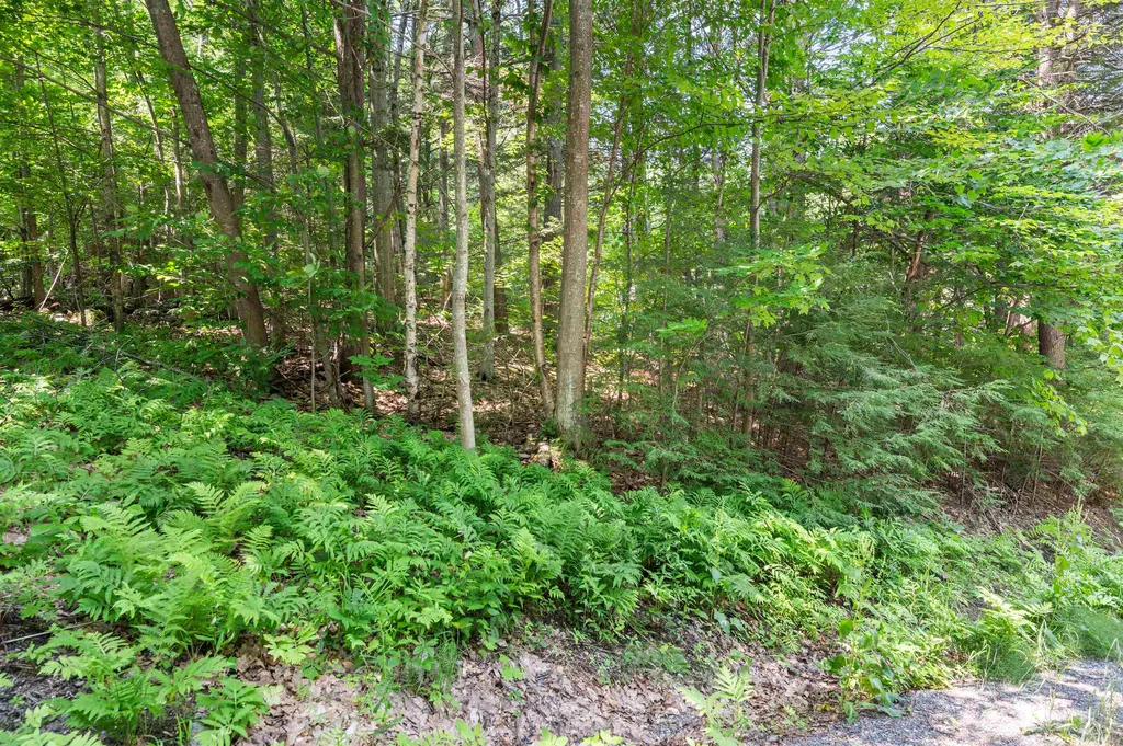 34 Leisure Drive Gilford NH 03249
