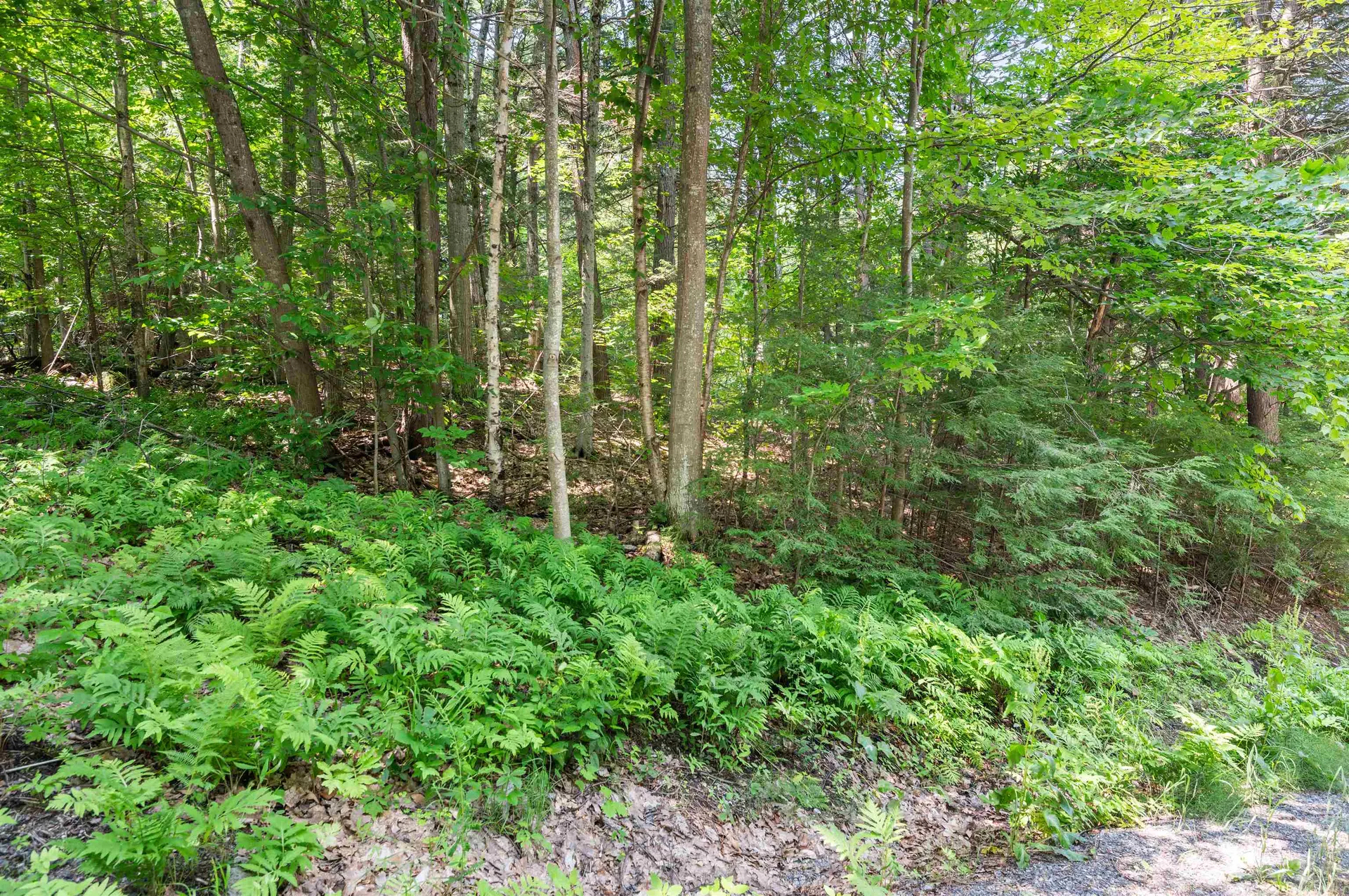34 Leisure Drive Gilford NH 03249