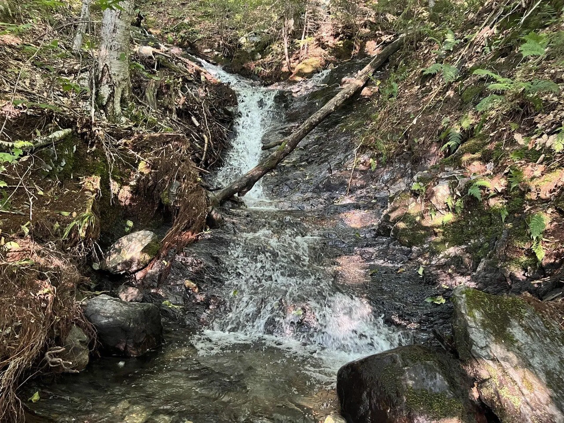 Lot 3 Cider Mountain Road Warren VT 05674