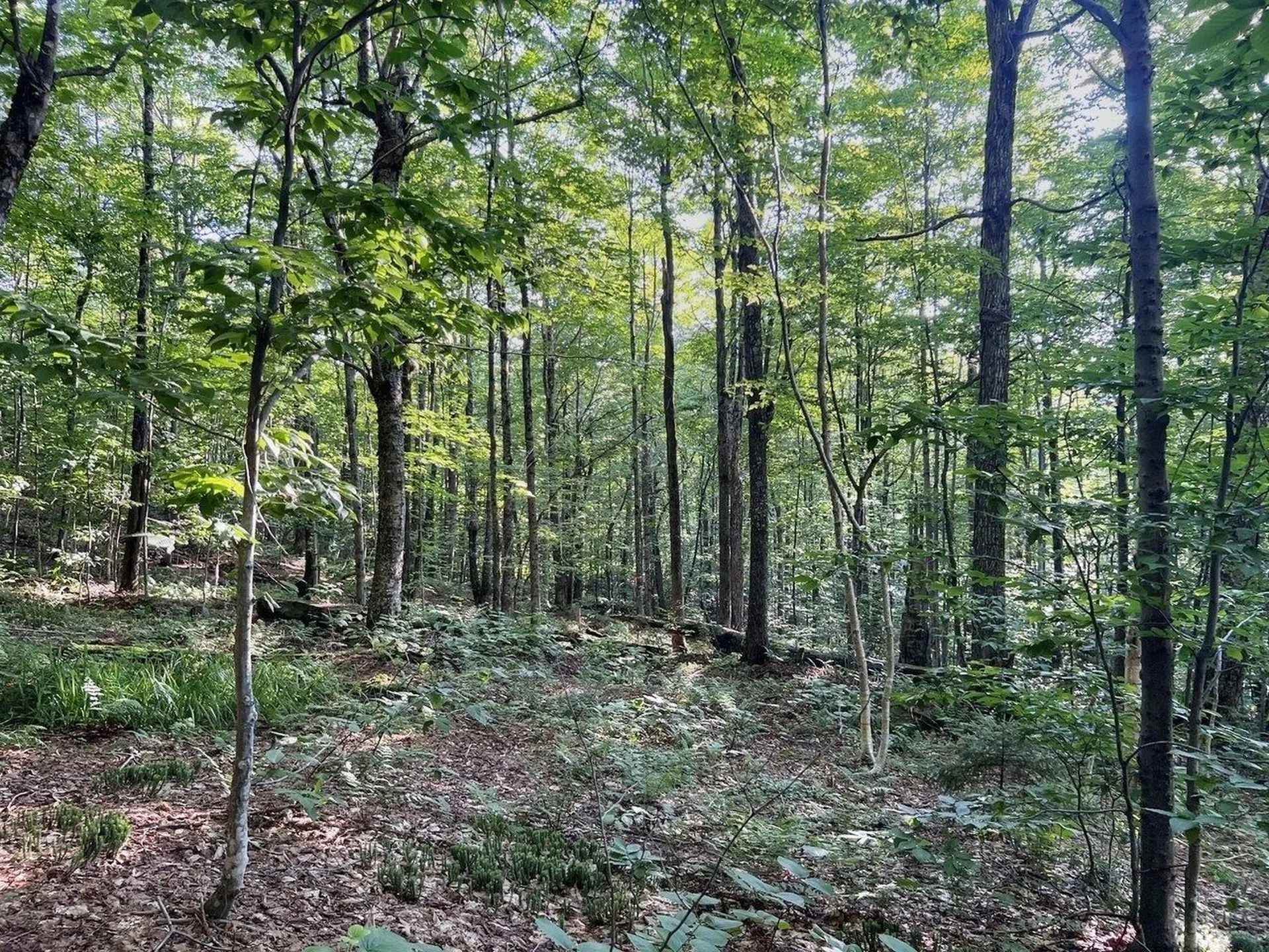 Lot 3 Cider Mountain Road Warren VT 05674