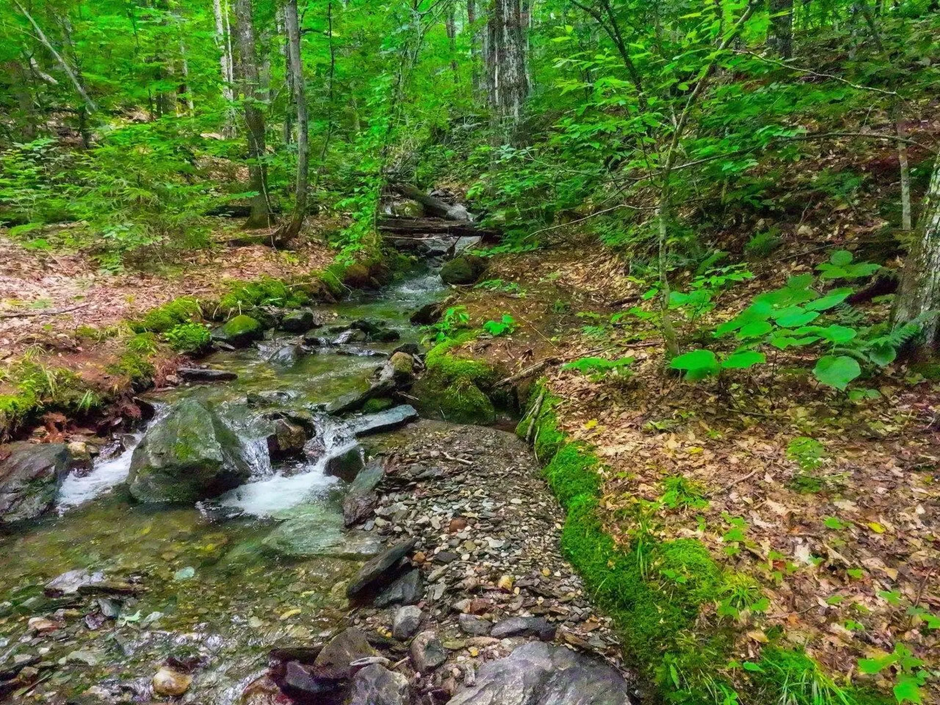 Lot 3 Cider Mountain Road Warren VT 05674