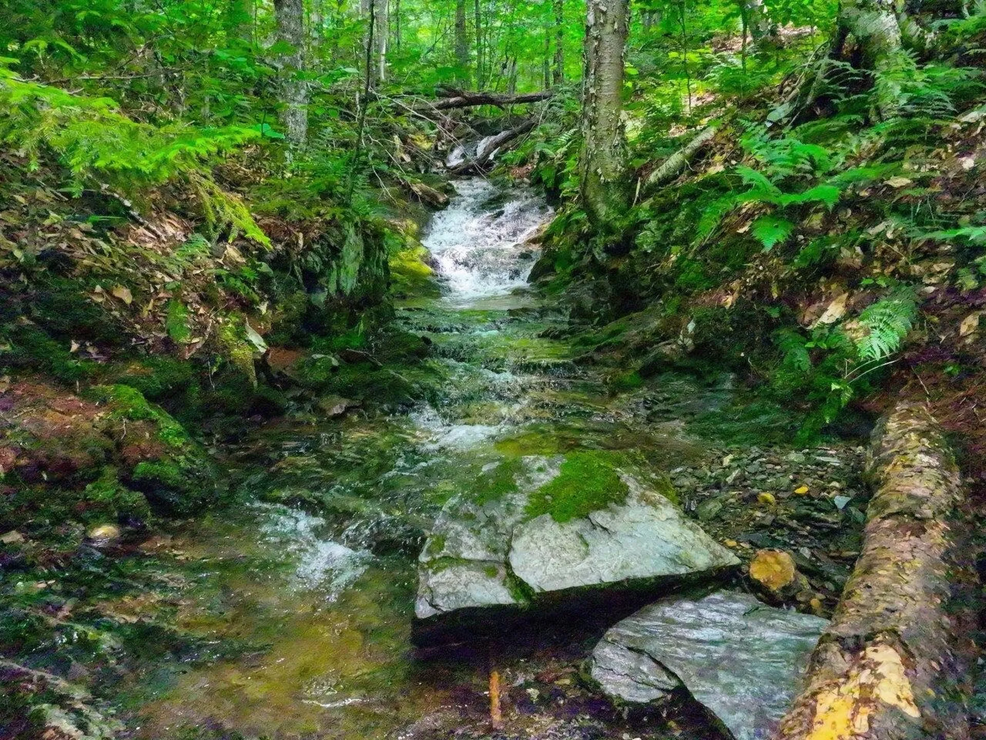 Lot 3 Cider Mountain Road Warren VT 05674