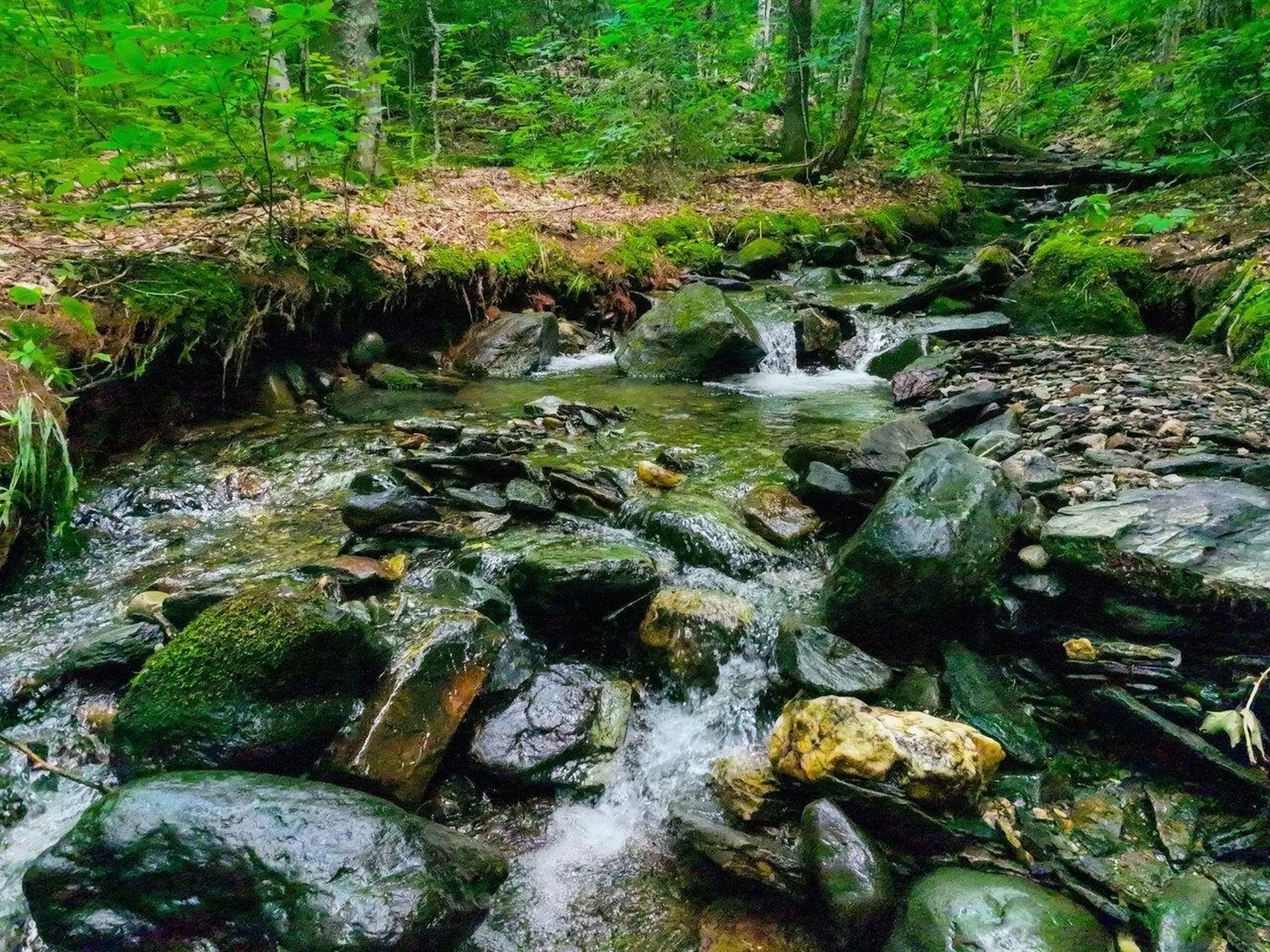 Lot 3 Cider Mountain Road Warren VT 05674
