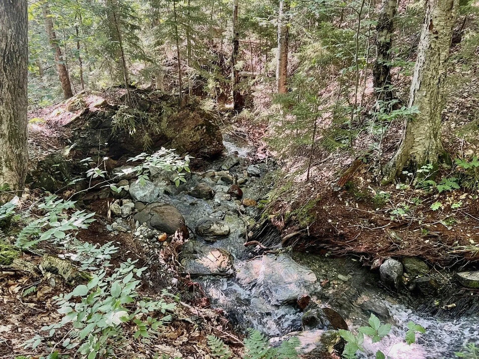 Lot 3 Cider Mountain Road Warren VT 05674