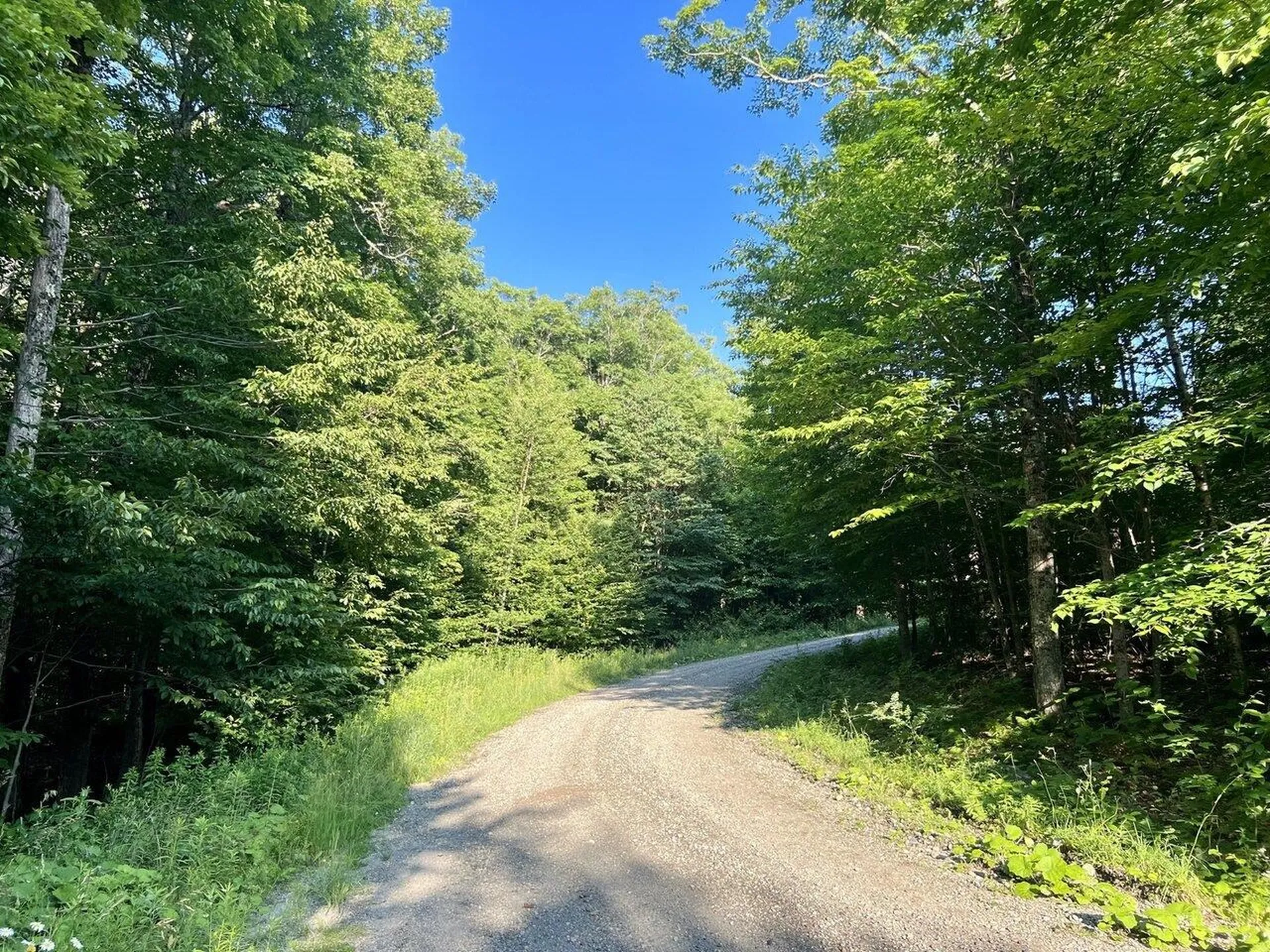 Lot 3 Cider Mountain Road Warren VT 05674