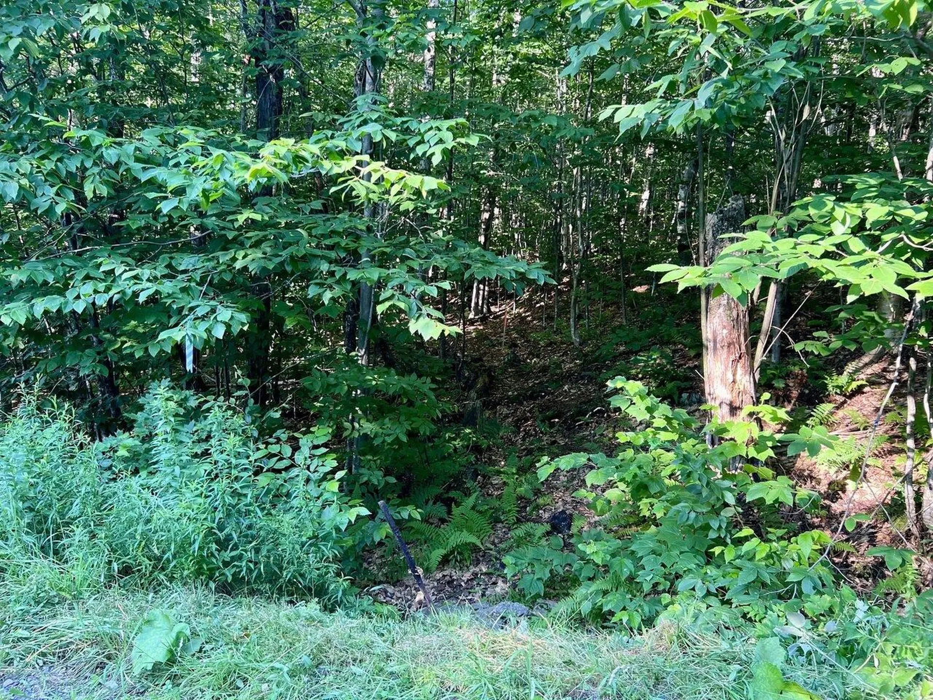 Lot 3 Cider Mountain Road Warren VT 05674
