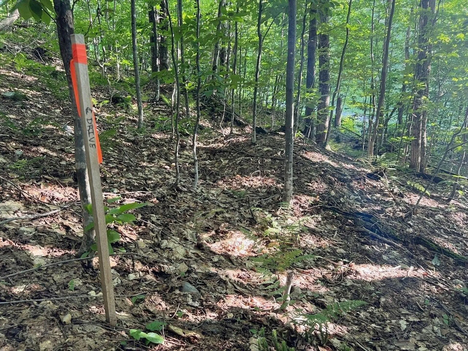 Lot 3 Cider Mountain Road Warren VT 05674