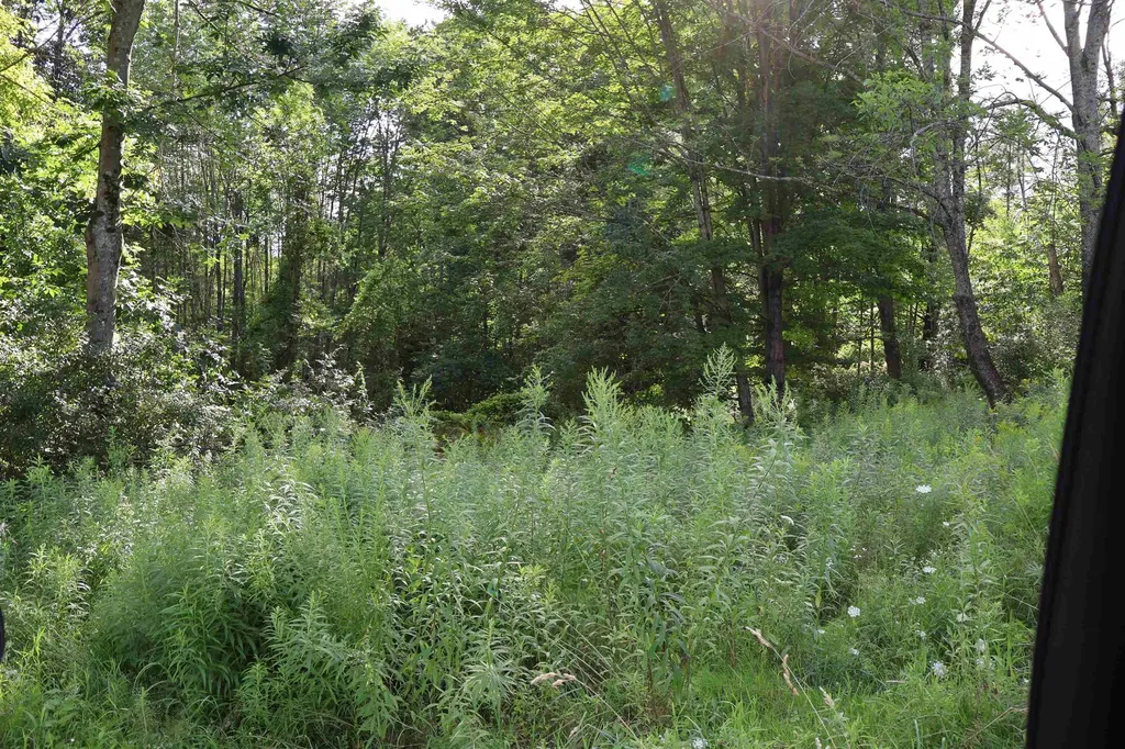 0 Town Farm Road Norwich VT 05055