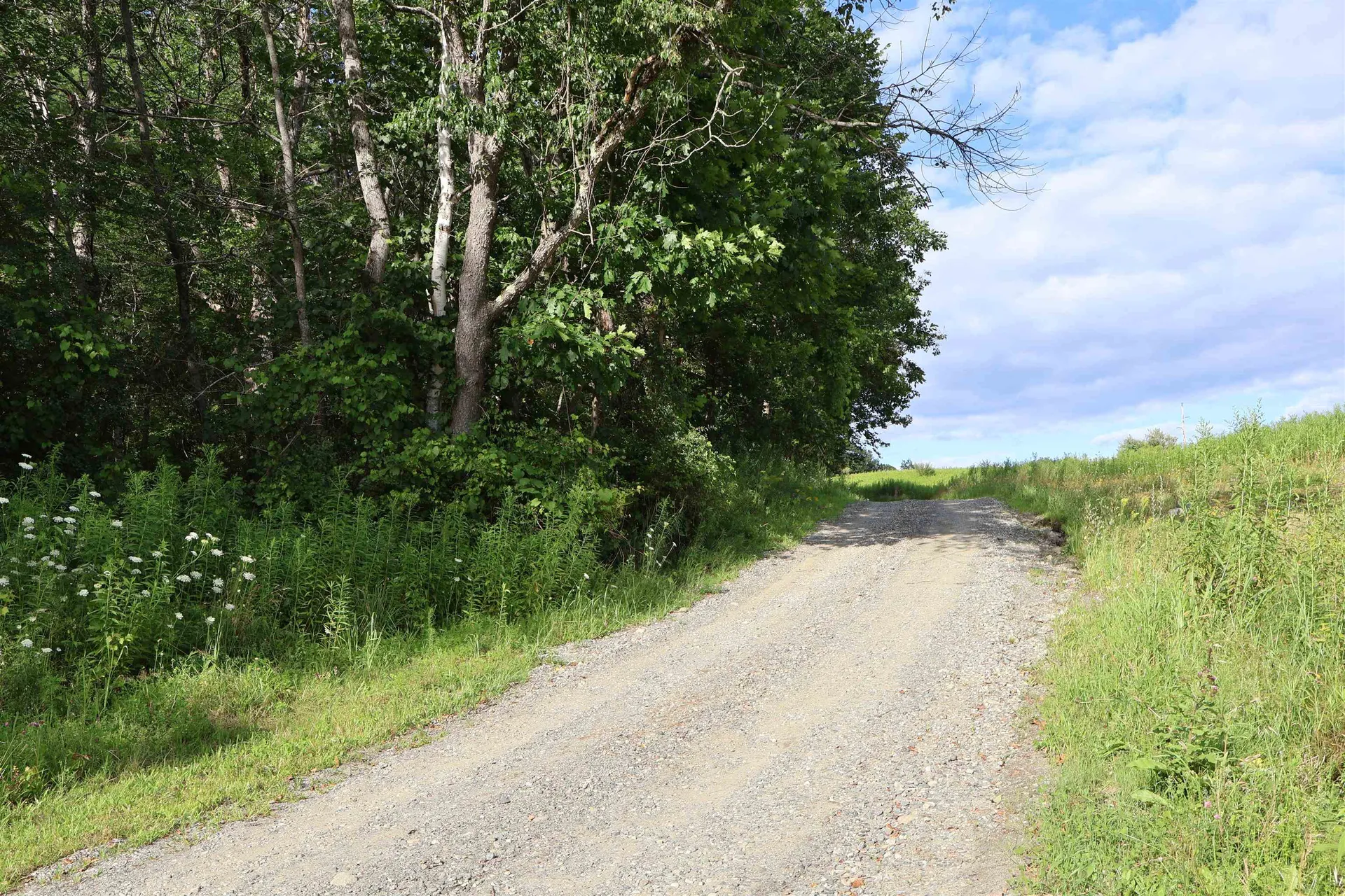 0 Town Farm Road Norwich VT 05055