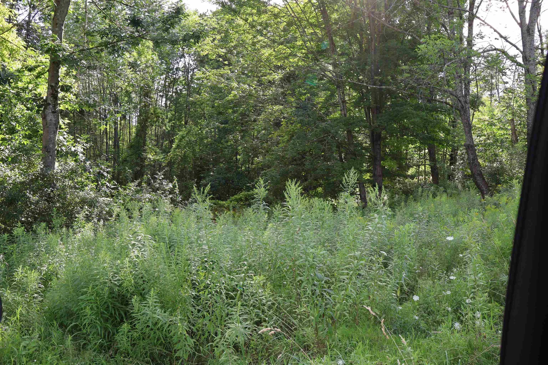 0 Town Farm Road Norwich VT 05055