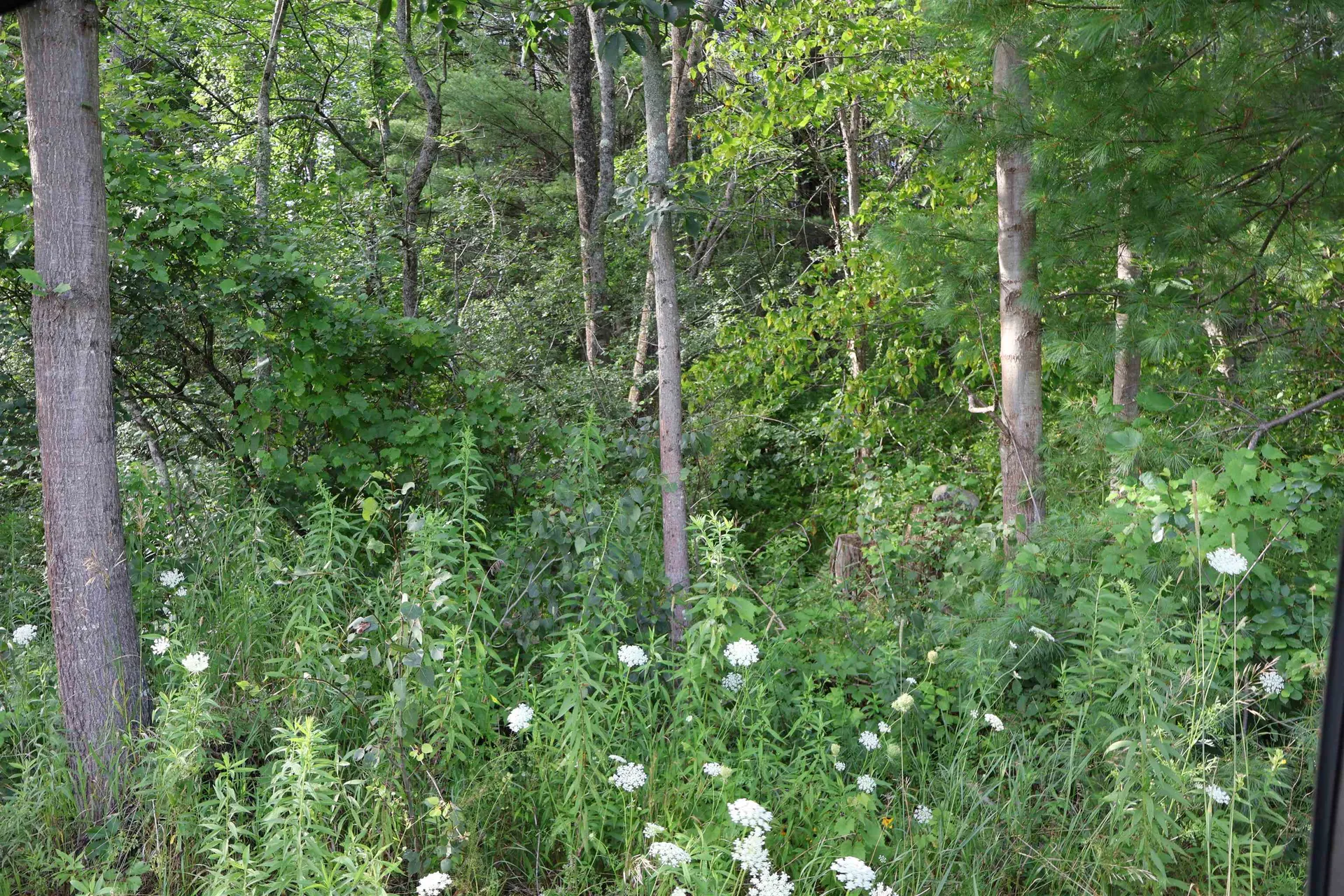 0 Town Farm Road Norwich VT 05055