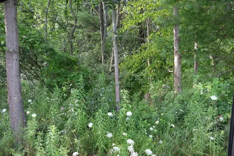 0 Town Farm Road Norwich VT 05055