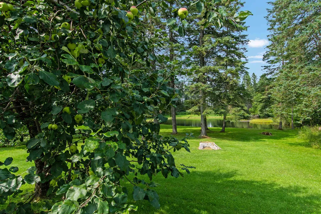 59 Roaring Brook Road Colebrook NH 03576