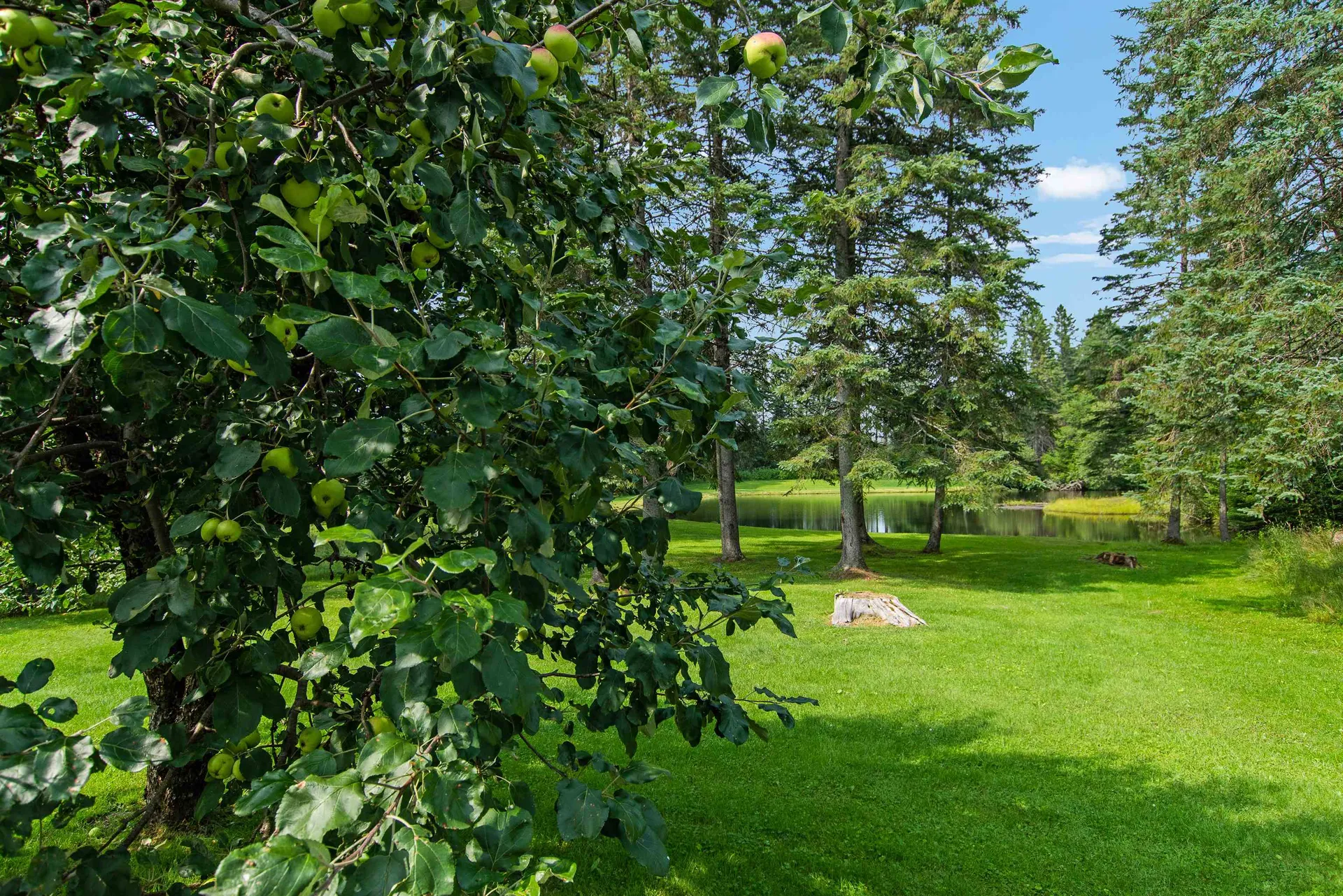 59 Roaring Brook Road Colebrook NH 03576