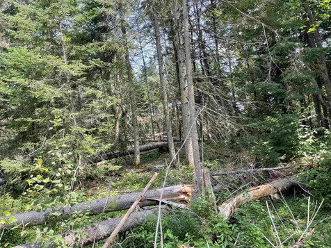 4615 Vt Route 114 Norton VT 05907