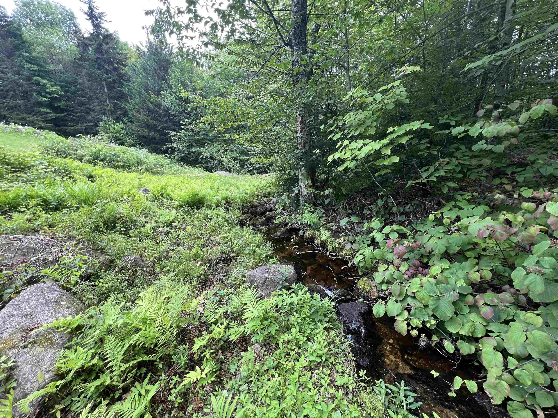 2399 Washburn Road Alexandria NH 03222