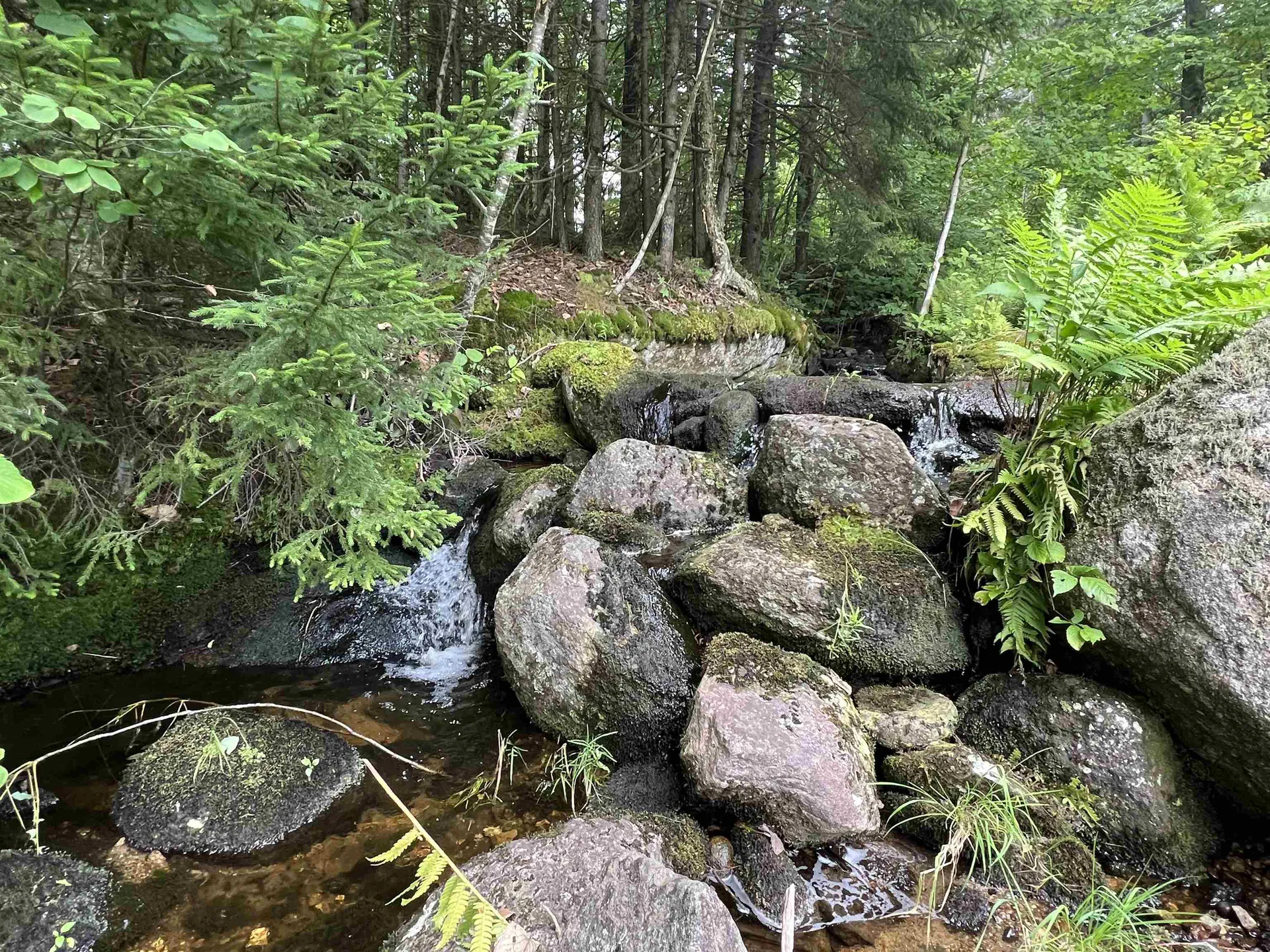 2399 Washburn Road Alexandria NH 03222