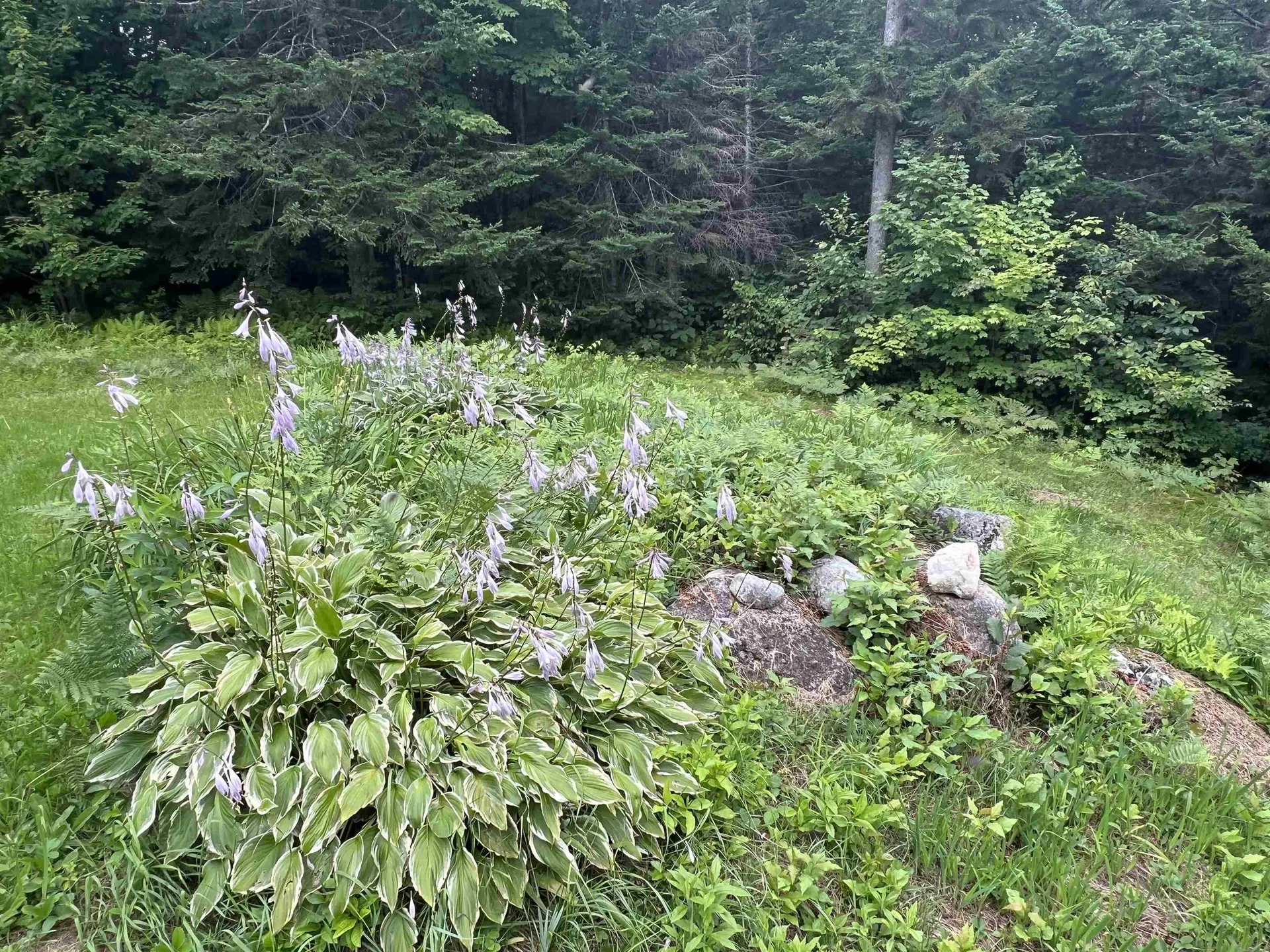 2399 Washburn Road Alexandria NH 03222