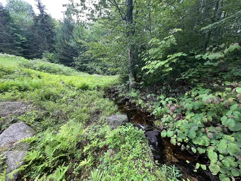 2399 Washburn Road Alexandria NH 03222