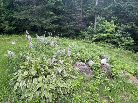 2399 Washburn Road Alexandria NH 03222