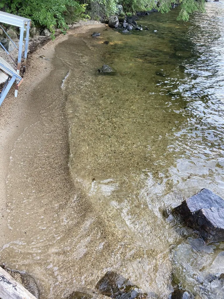 246 Whittemore Point Road Bridgewater NH 03222